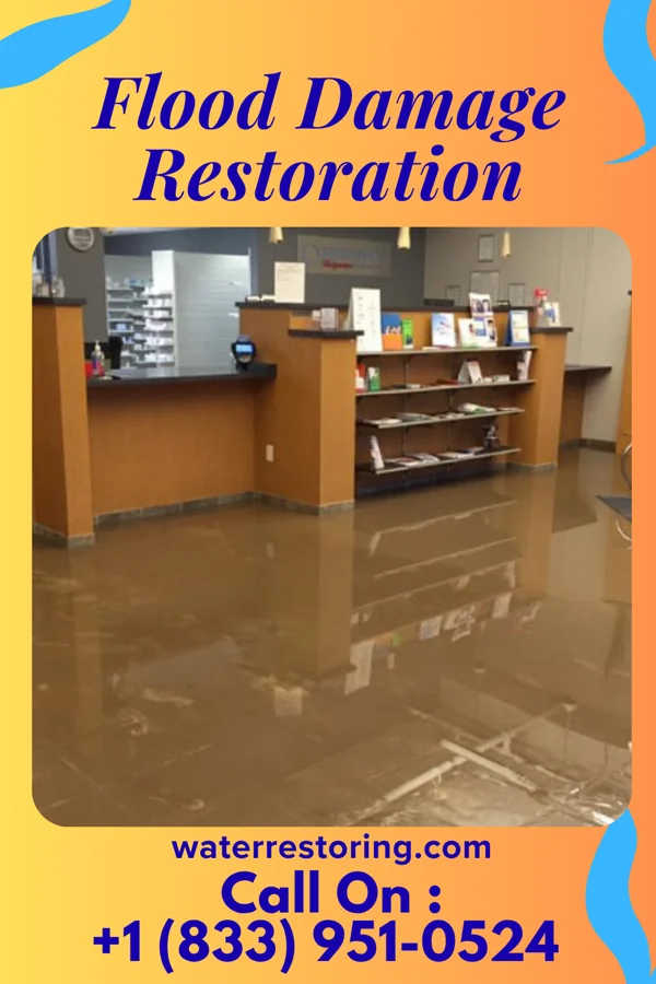 Flood Damage Restoration in Anchorage, KY