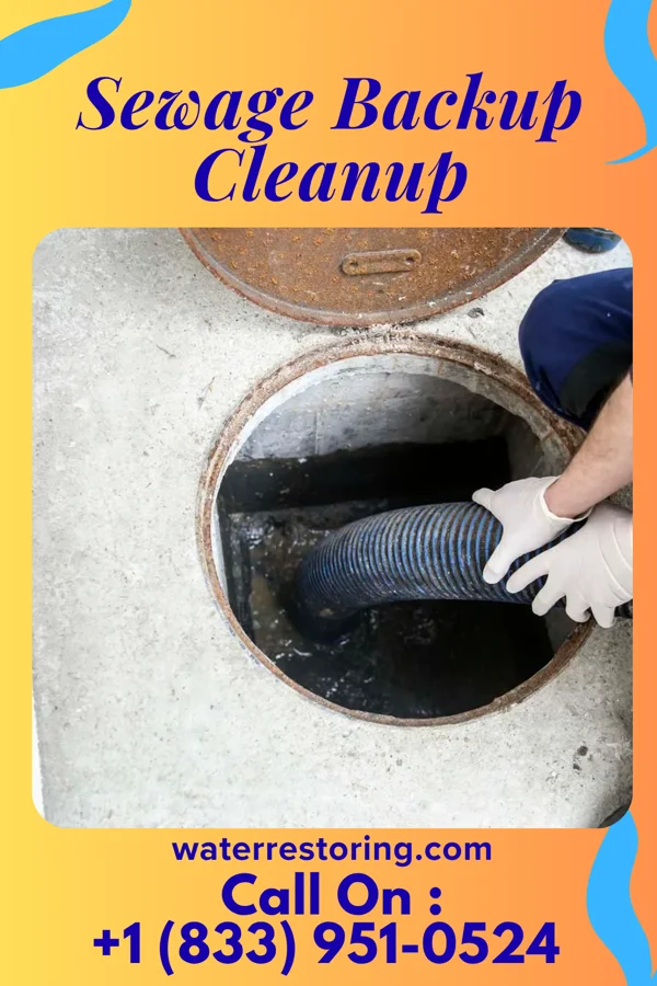 Sewage Backup Cleanup in Anchorage, KY