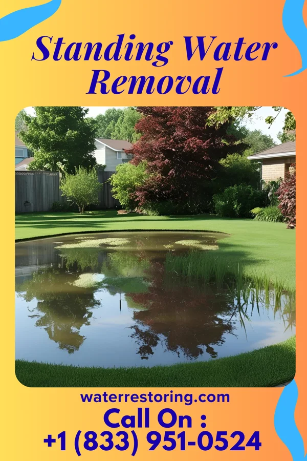 Standing Water Removal in Anchorage, KY